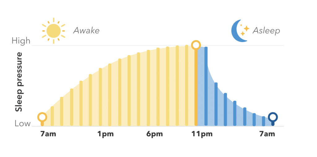 sleep pressure